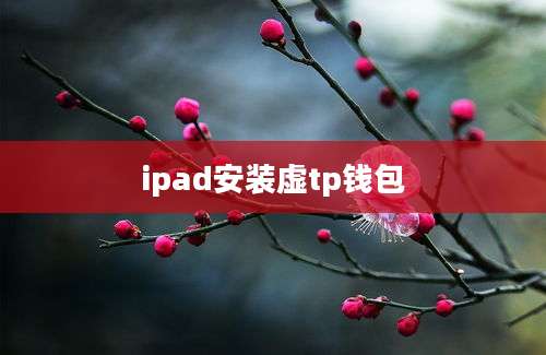ipad安装虚tp钱包