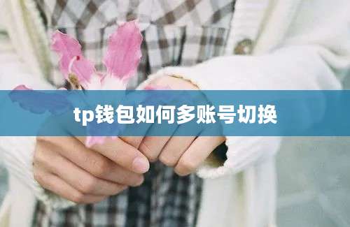 tp钱包如何多账号切换