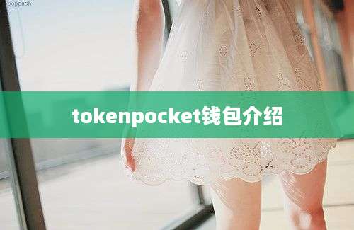 tokenpocket钱包介绍