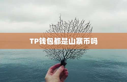 TP钱包都是山寨币吗