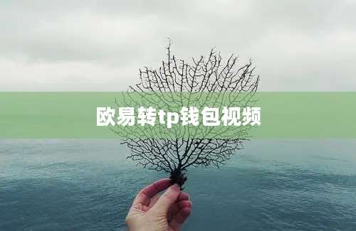 欧易转tp钱包视频