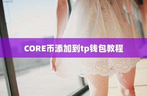 CORE币添加到tp钱包教程