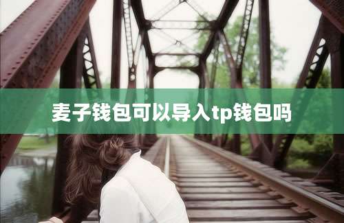 麦子钱包可以导入tp钱包吗