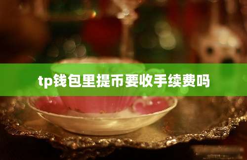 tp钱包里提币要收手续费吗