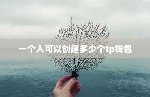 一个人可以创建多少个tp钱包