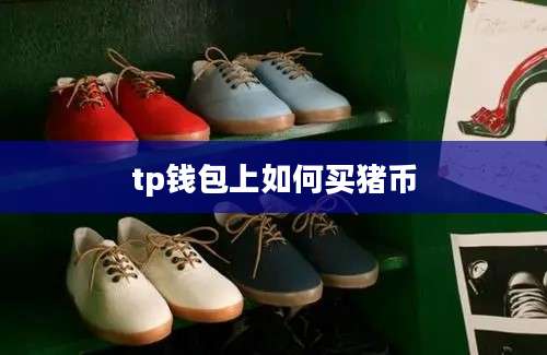 tp钱包上如何买猪币