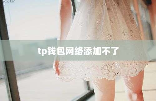 tp钱包网络添加不了