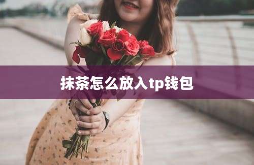抹茶怎么放入tp钱包