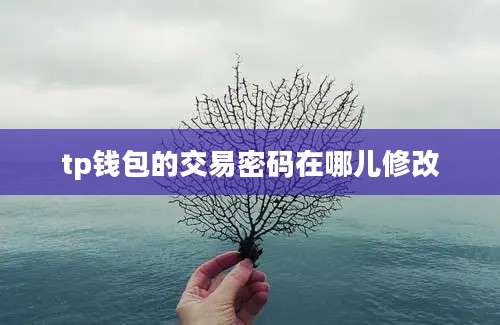tp钱包的交易密码在哪儿修改