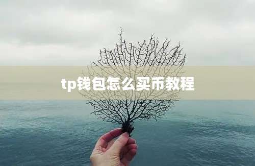 tp钱包怎么买币教程