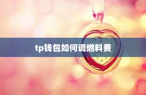 tp钱包如何调燃料费