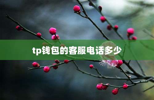 tp钱包的客服电话多少