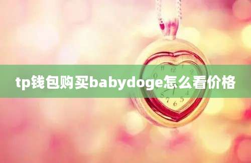 tp钱包购买babydoge怎么看价格