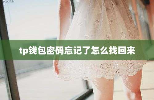 tp钱包密码忘记了怎么找回来