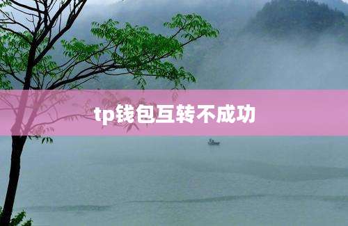tp钱包互转不成功
