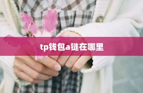 tp钱包a链在哪里