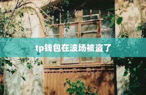 tp钱包在波场被盗了
