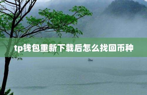 tp钱包重新下载后怎么找回币种