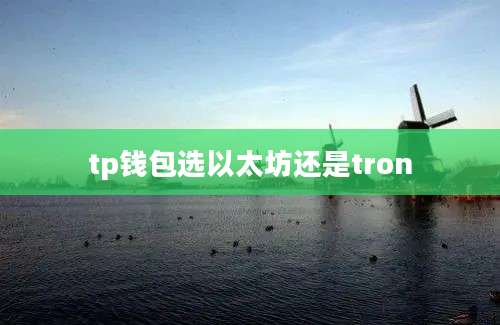 tp钱包选以太坊还是tron