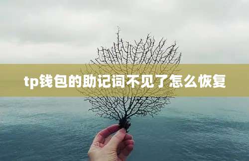 tp钱包的助记词不见了怎么恢复