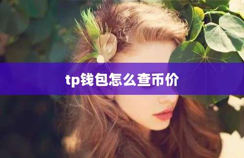 tp钱包怎么查币价