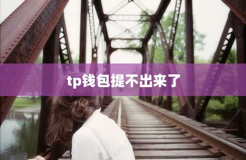 tp钱包提不出来了