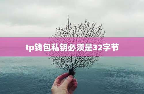 tp钱包私钥必须是32字节