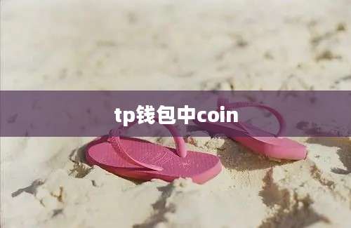 tp钱包中coin