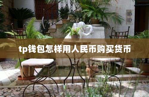 tp钱包怎样用人民币购买货币
