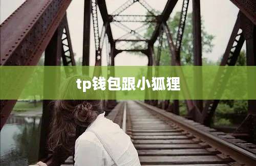tp钱包跟小狐狸