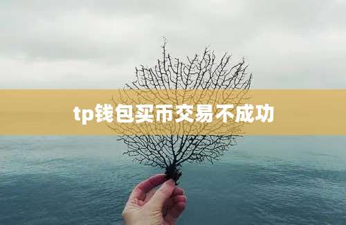 tp钱包买币交易不成功