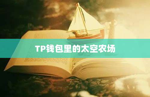 TP钱包里的太空农场