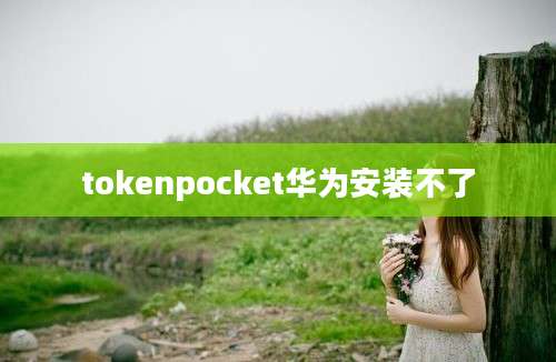 tokenpocket华为安装不了