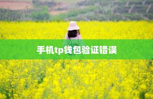 手机tp钱包验证错误