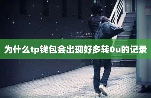 为什么tp钱包会出现好多转0u的记录