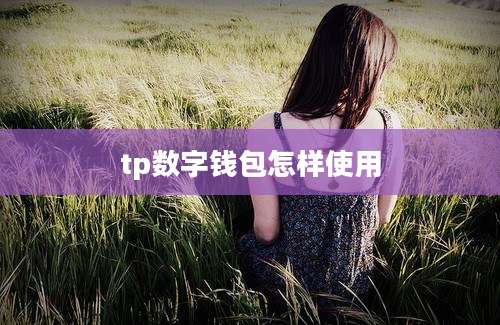 tp数字钱包怎样使用