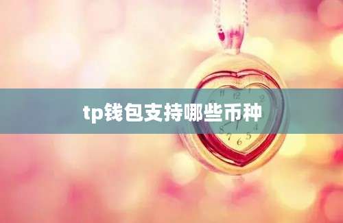 tp钱包支持哪些币种