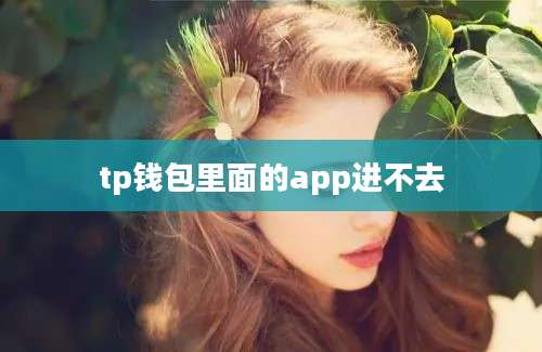 tp钱包里面的app进不去