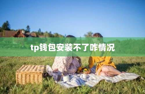 tp钱包安装不了咋情况