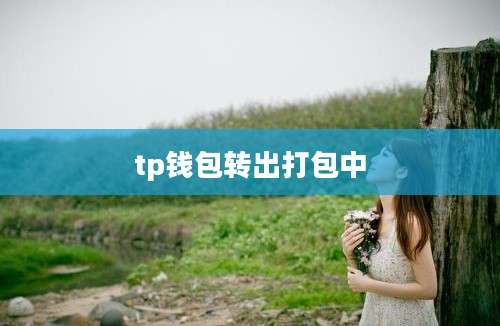 tp钱包转出打包中