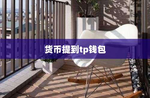 货币提到tp钱包
