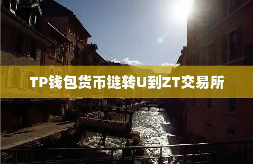 TP钱包货币链转U到ZT交易所