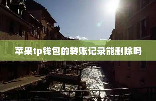 苹果tp钱包的转账记录能删除吗