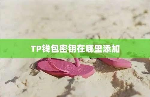 TP钱包密钥在哪里添加