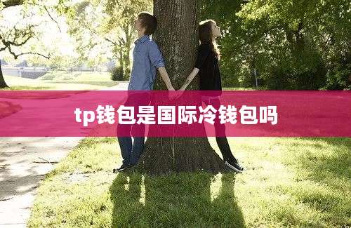 tp钱包是国际冷钱包吗