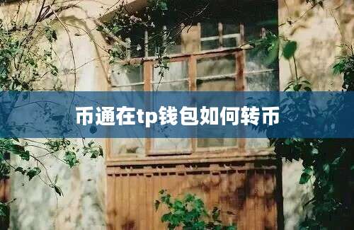 币通在tp钱包如何转币