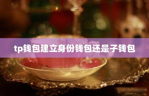 tp钱包建立身份钱包还是子钱包