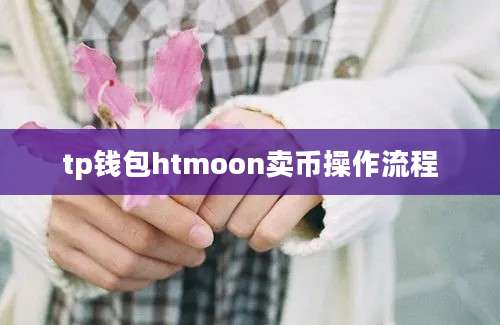 tp钱包htmoon卖币操作流程