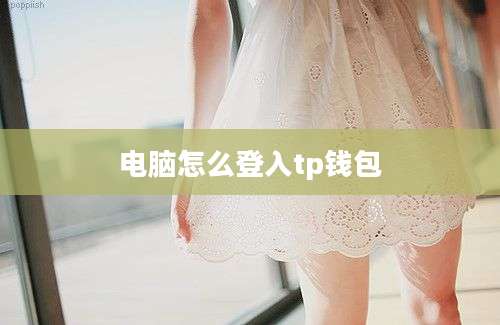 电脑怎么登入tp钱包