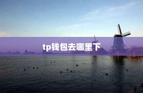 tp钱包去哪里下